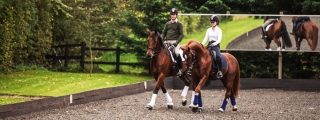 Team Hayler Training